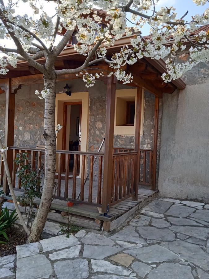 Arcadianis Lakeview Villa At Psari Arkadias Ψάρι Εξωτερικό φωτογραφία